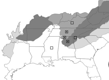 The range of Erigeron allisonii